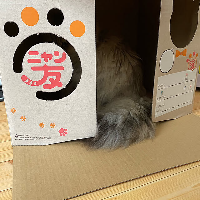 k_dinoさんの実例写真