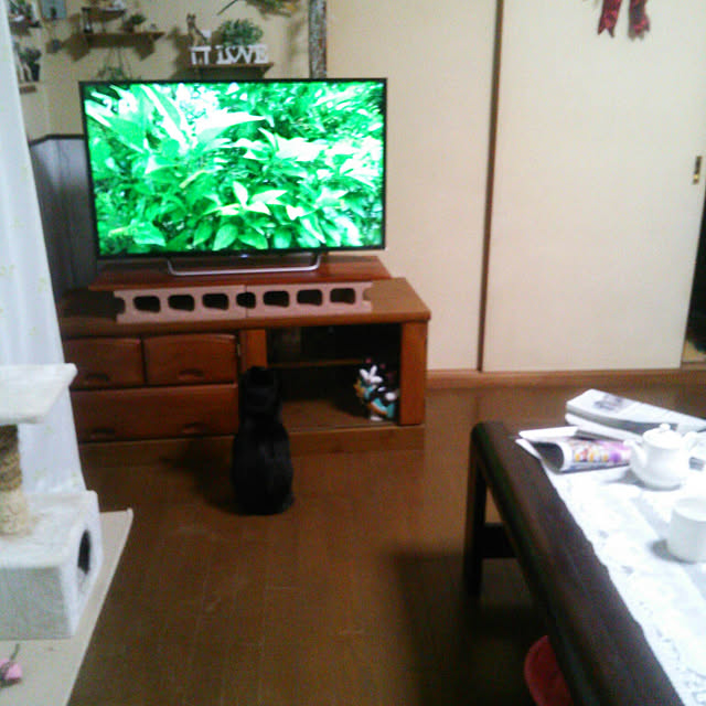 Tomopさんの実例写真