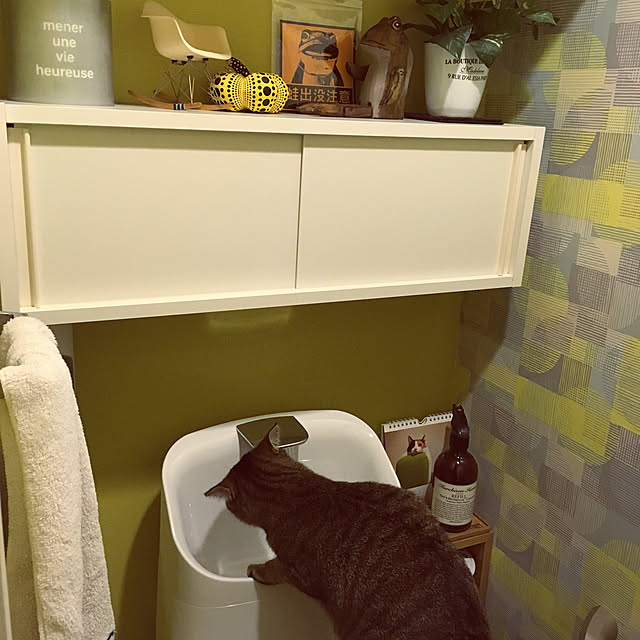 mikomaruさんの実例写真