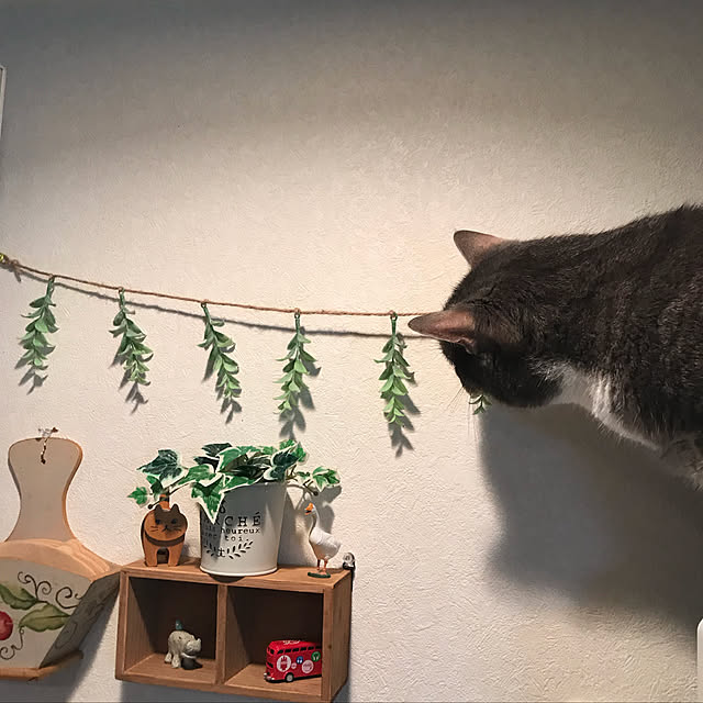 Machikoさんの実例写真