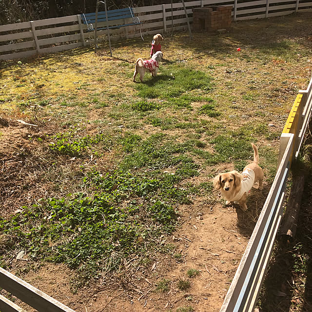 COCOさんの実例写真