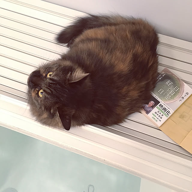 mikomaruさんの実例写真