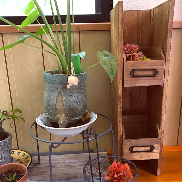 jijiさんの実例写真
