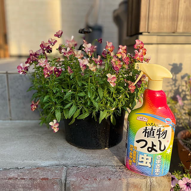 emiuraranさんの部屋