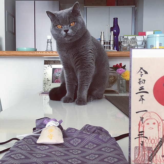 kittyさんの実例写真
