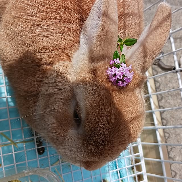 aiさんの部屋