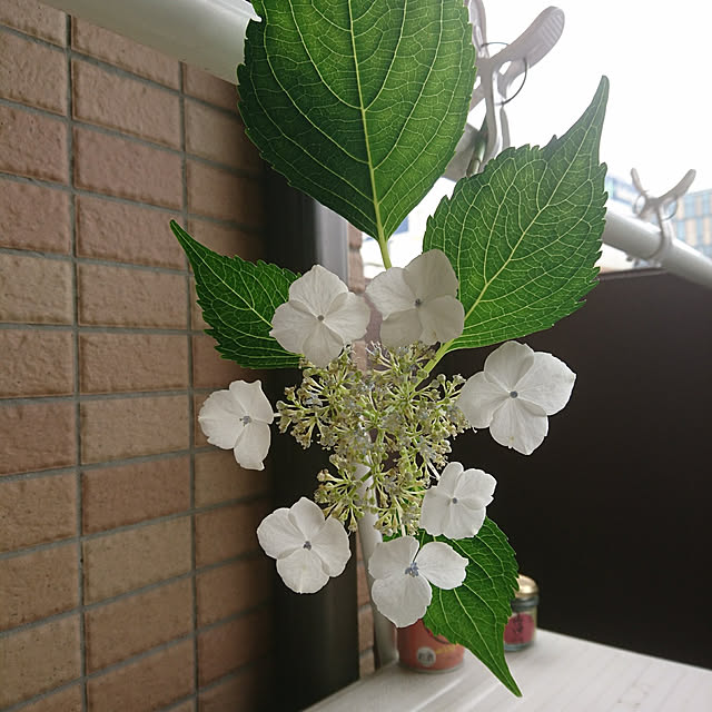 tomo3さんの実例写真