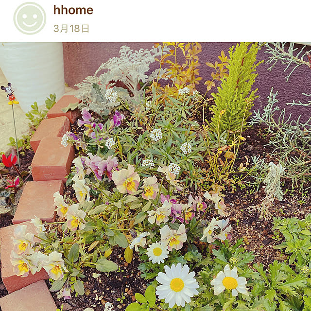 hhomeさんの部屋