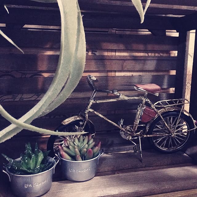 kiyomiさんの実例写真