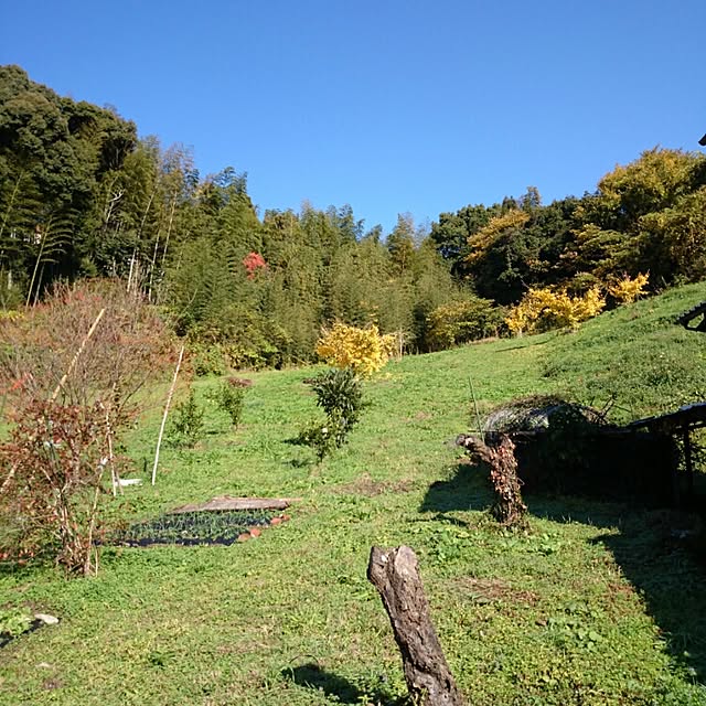 koppeさんの実例写真