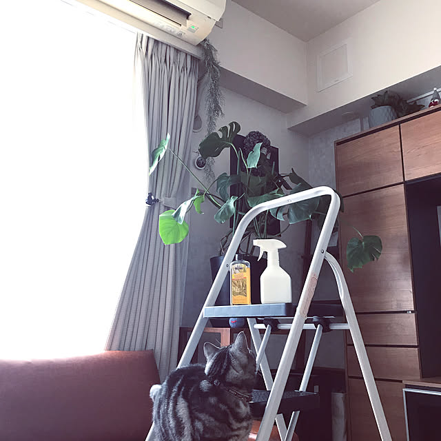hiyupan88さんの実例写真