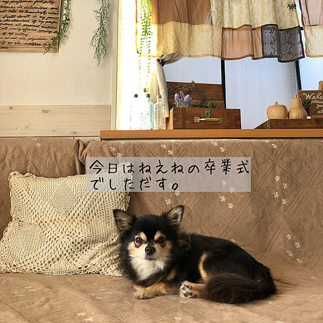 yokochinさんの実例写真