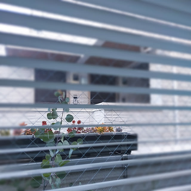 jinさんの実例写真