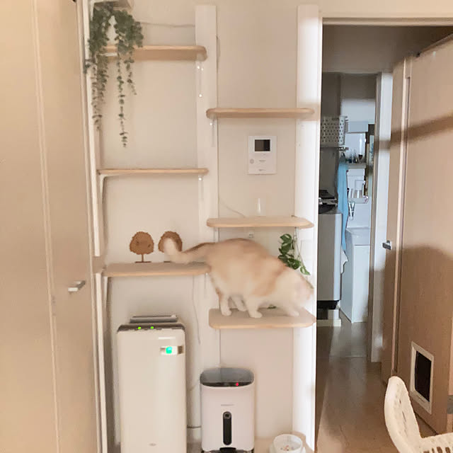 H.Tさんの部屋