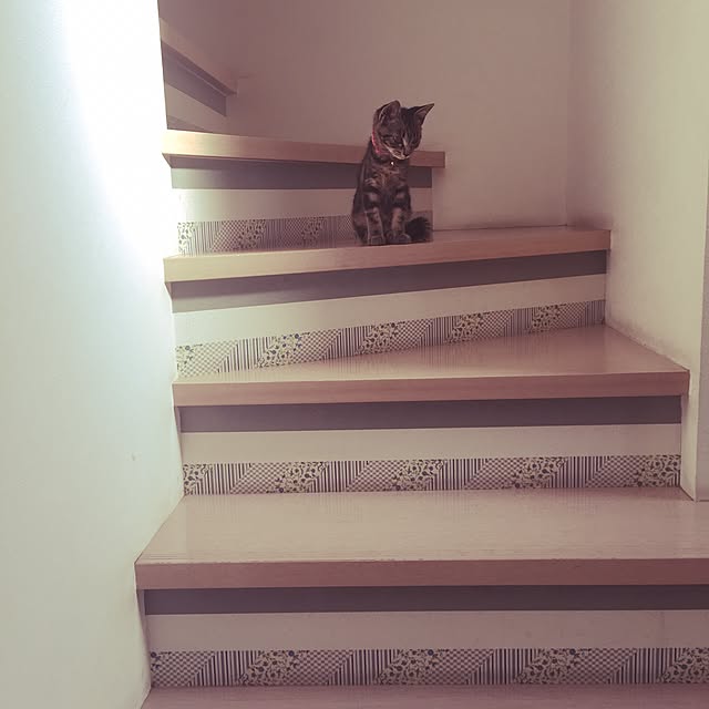 Ichinoseさんの実例写真