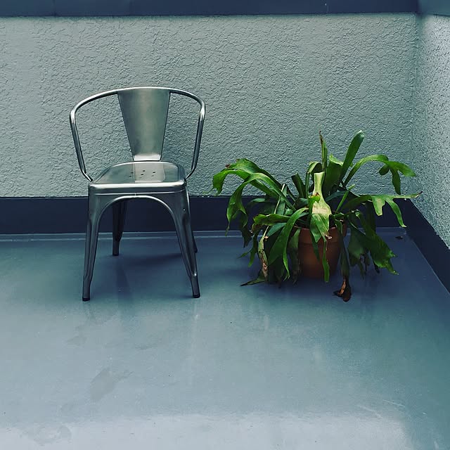 suroomさんの実例写真
