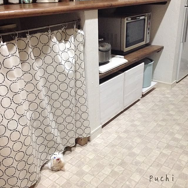 puchicchiさんの実例写真