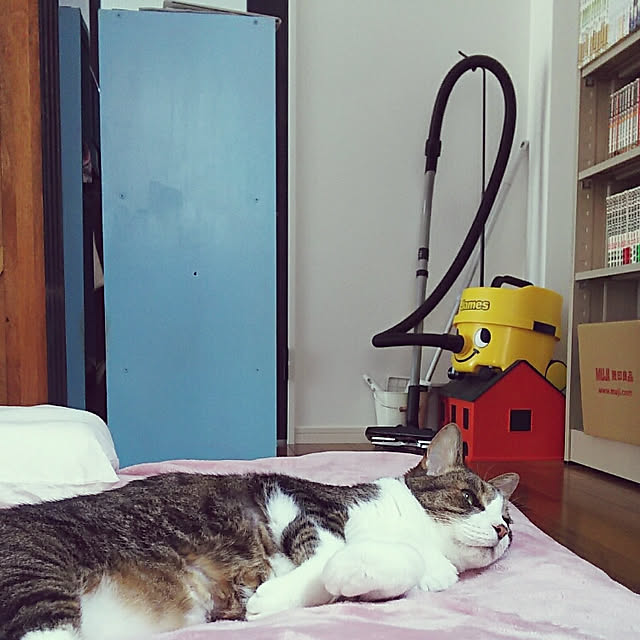 37さんの実例写真