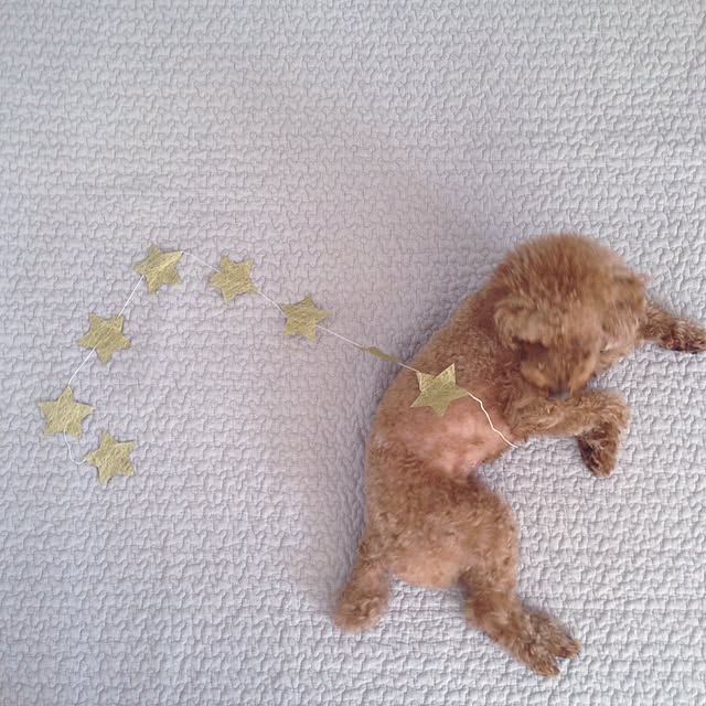 saooo39さんの実例写真