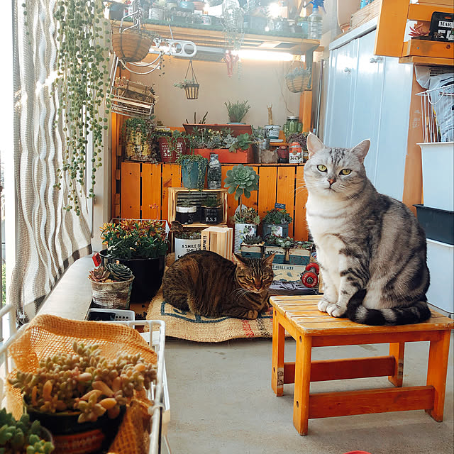 snow-to-cocoさんの実例写真
