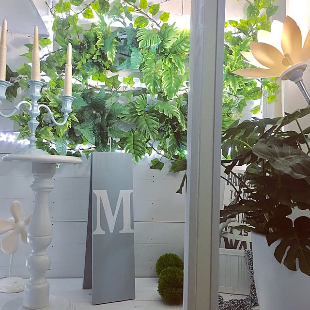 Mopmamaさんの実例写真