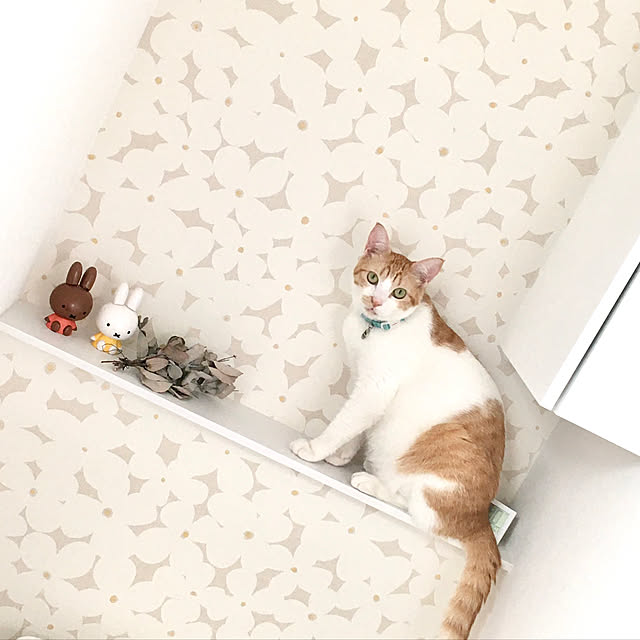 tapimokaさんの実例写真