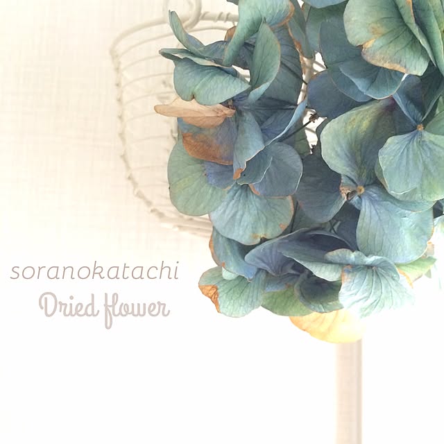 soranokatachiさんの実例写真