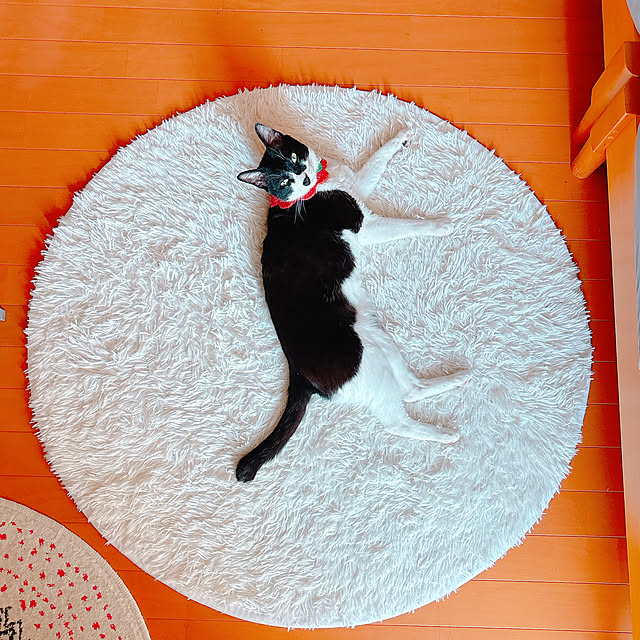 moolさんの実例写真