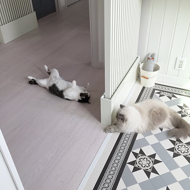 yuchiさんの実例写真