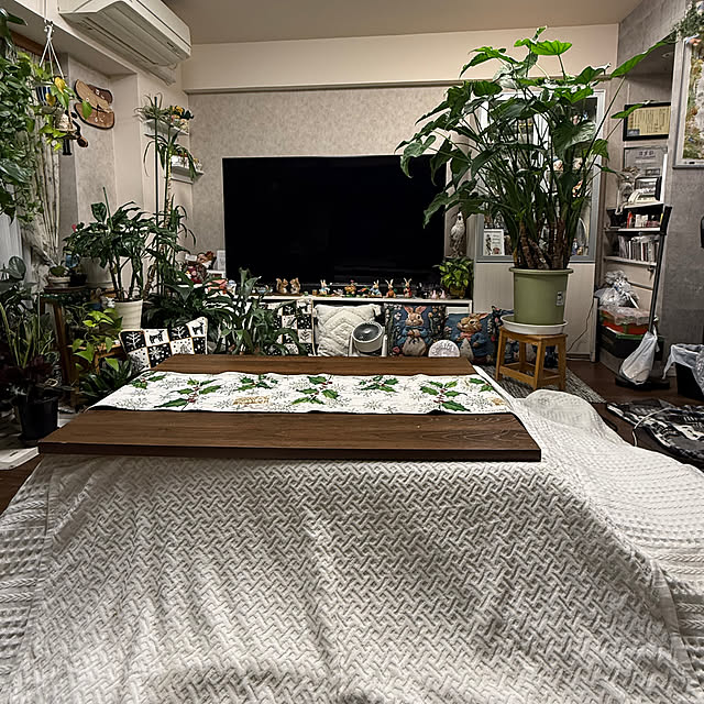 Aqettyさんの部屋