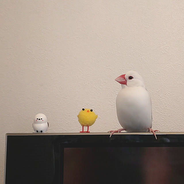Yoshi55goさんの実例写真