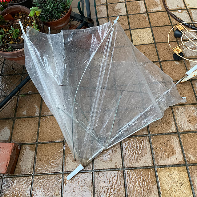 Aqettyさんの部屋