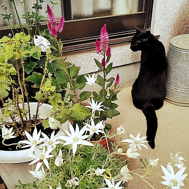 hiroさんの実例写真
