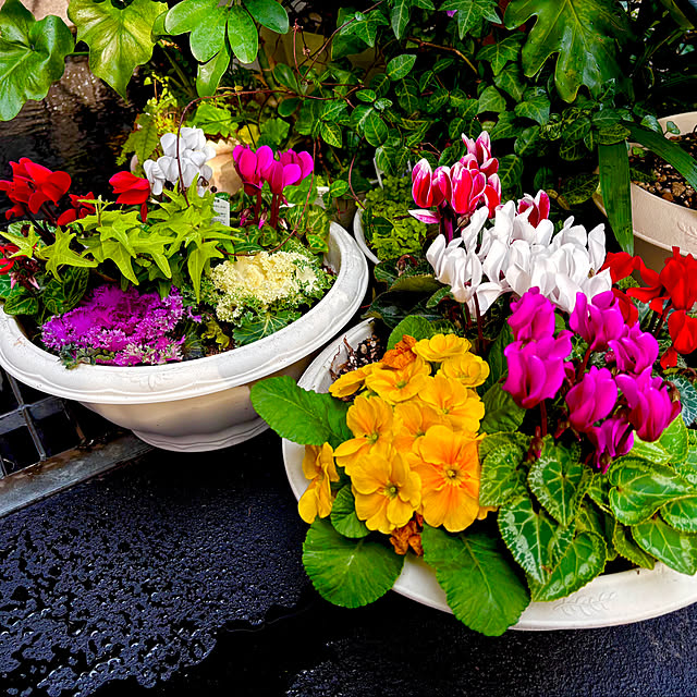 tututu0204さんの実例写真