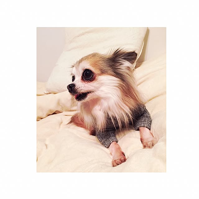 nicopiiiiiさんの実例写真