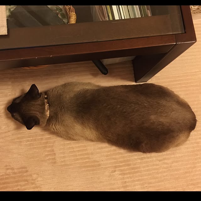 dodoさんの実例写真