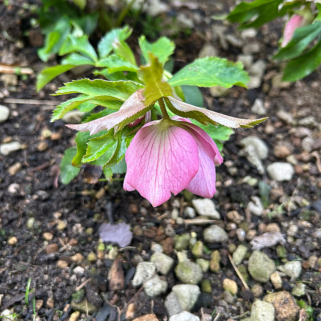 ritsukoさんの実例写真