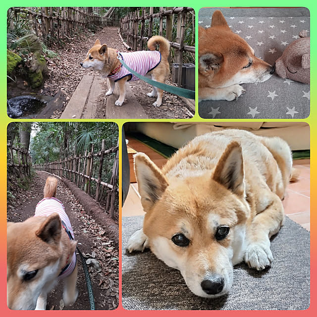 nanaさんの実例写真