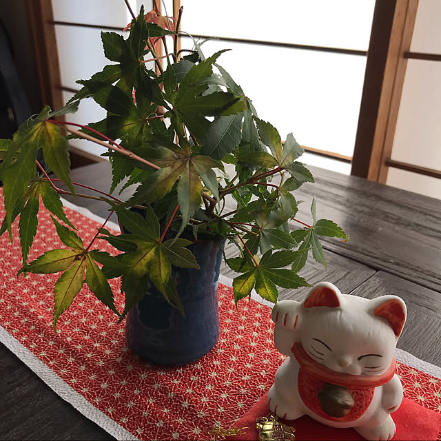 chiyoさんの実例写真