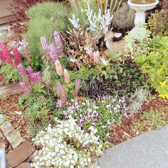 ransakuさんの実例写真