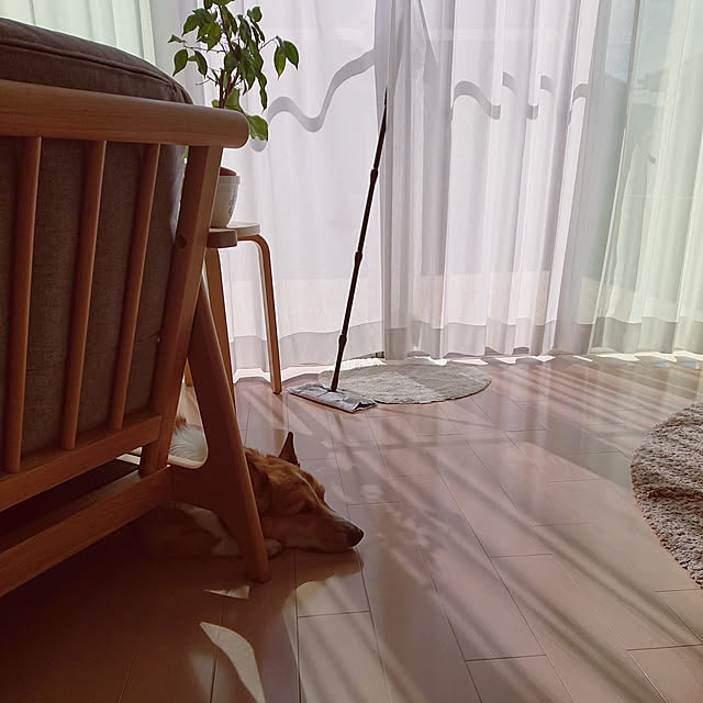 yaikoさんの実例写真