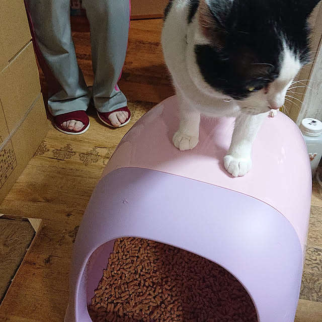 manekinekoさんの実例写真