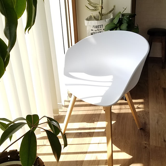 renrenさんの実例写真