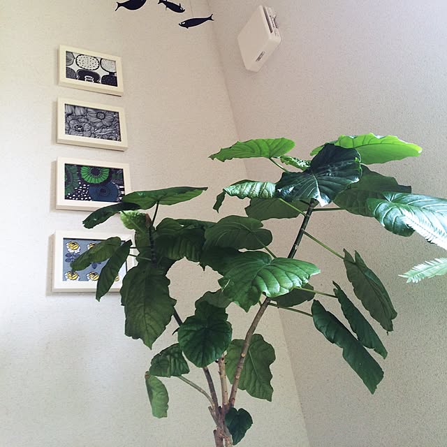inae2さんの実例写真