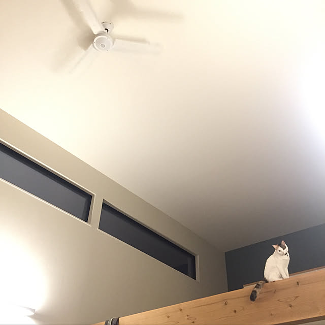 Kuronecoさんの実例写真