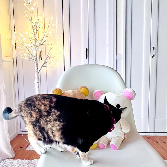 mamyuさんの部屋