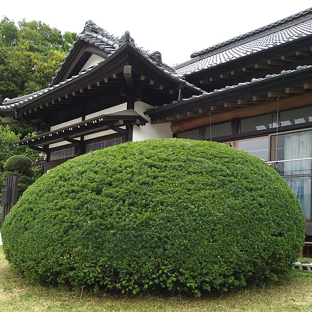 y.ebihara0811さんの実例写真