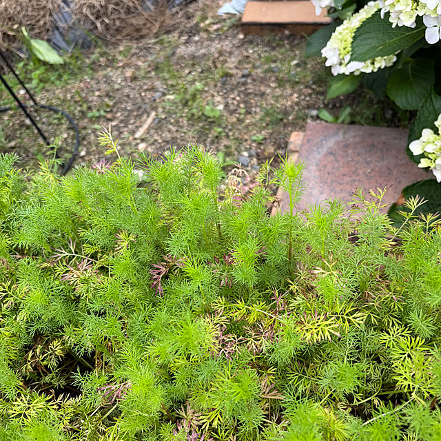 ritsukoさんの部屋