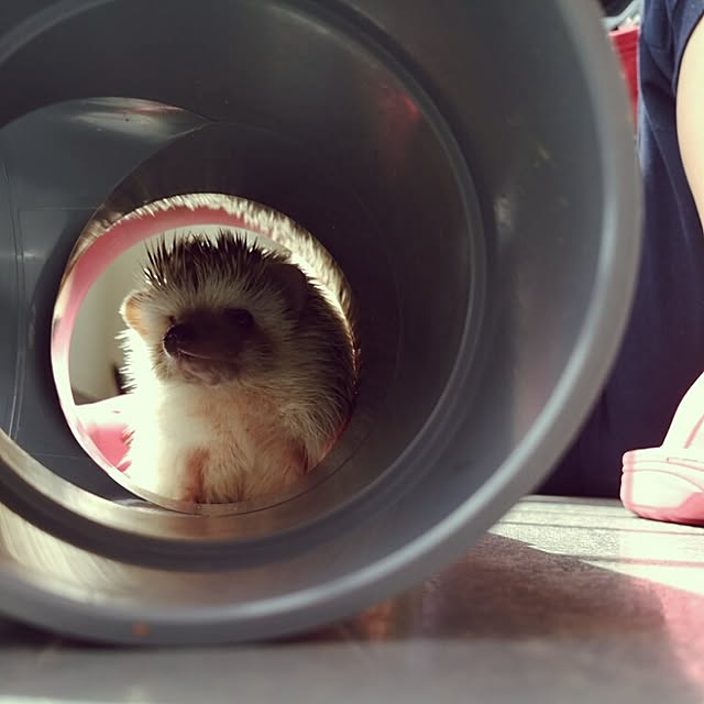 kuruさんの実例写真