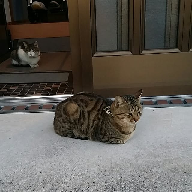lemoned1126さんの実例写真
